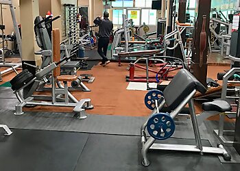 New Arnold Gym
