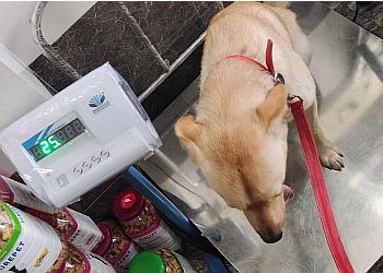 New Hope Animal Hospital