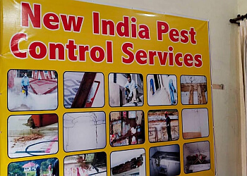 New India Pest Control Service