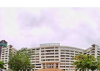 New Viva College of Arts, Commerce and Science