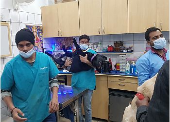 Niti Bagh Pet Clinic