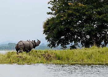 North East Tour And Travel Agency