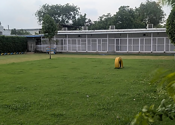 OMA Pet Boarding, Faridabad