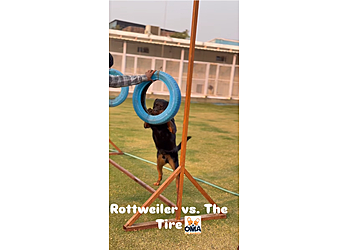 OMA Pet Boarding, Faridabad