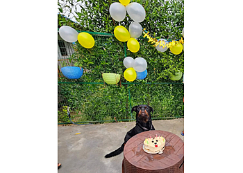 OMA Pet Boarding, Faridabad OMA Pet Boarding, Faridabad