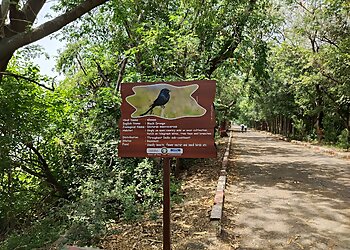 Okhla Bird Sanctuary