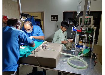 Om Veterinary Hospital