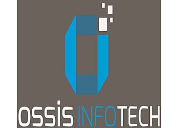 Thane Web Designers Ossis Infotech Pvt Ltd  image 1