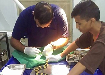 Pet-Medics Small Animal Veterinary Care Center