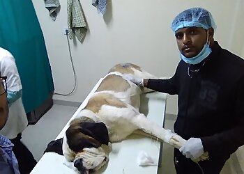 Panacea Veterinary Clinic