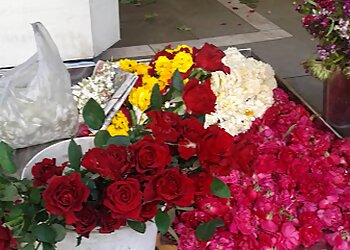 Party Flower Decorators