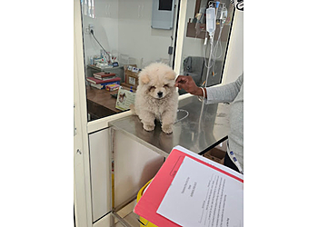 Passionate Paws Pet Clinic