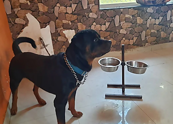 Patna Dog Boarding Center