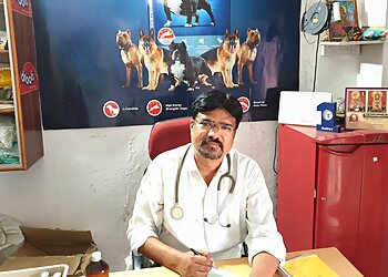 Paw Perfect Pet Clinic