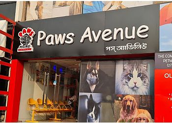 Paws Avenue - Pet Care Clinic