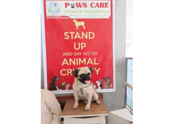 Paws Care Clinic and Diagnostic ( dogs ,cats, turtles,birds )
