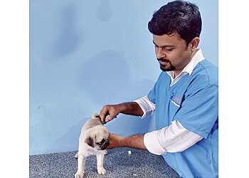 Paws Care and Heal Pet Clinic