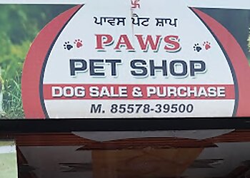 Paws Pet Shop