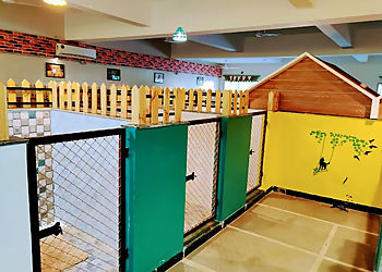 Paws The Dogs Planet