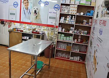 Paws and Hooves Royal Animal Hospital