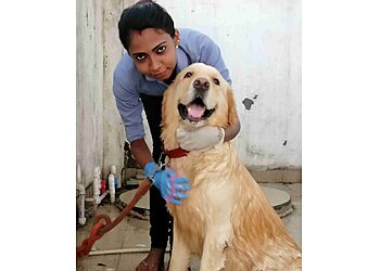 Payi's Pet Clinic and Veterinary Medicines