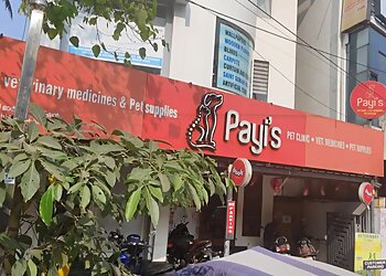 Thiruvananthapuram Veterinary Hospitals Payi's Pet Clinic and Veterinary Medicines image 1