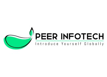 Amritsar Web Designers Peer Infotech image 1