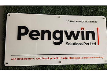 Pengwin Solutions Pvt Ltd