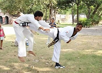 Perfect Taekwondo Academy