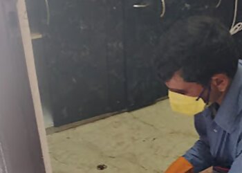 Pest Control Services