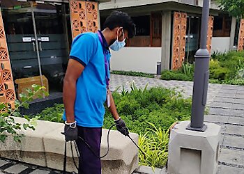 Pest Control Services