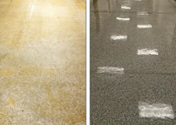 Pest Control Services and Products Pest Control Services and Products