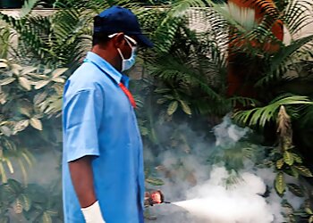 Bangalore Pest Control Services Pesterad Services image 1