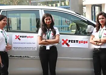 New Delhi Pest Control Services Pestgogo Products And Services Pvt. Ltd. image 1