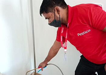 Pestico-Pest Control Services