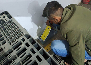 Pestilent Pest Control