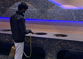 Pestocure Pest Control Services