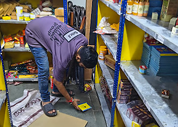 Pestokill-Pest control Raipur