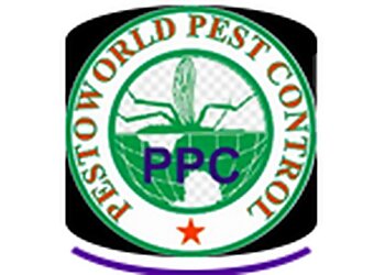 New Delhi Pest Control Services Pestoworld Pest Control image 1