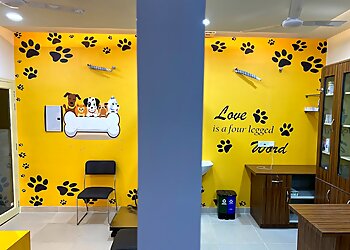 Pet Care and Cure