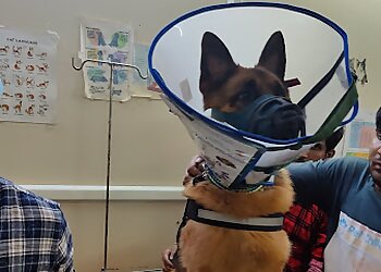 Pet Chikitsa Veterinary Hospital