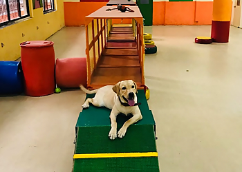 PetFelix Dog Boarding