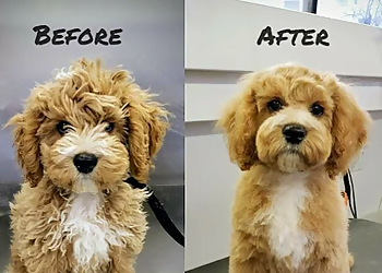 Pet House (Pet Shop & Pet Salon)