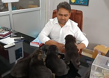 Pet Lovers Care Clinic and Surgical Centre