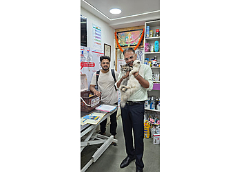 Pet Ozone Pet Clinic