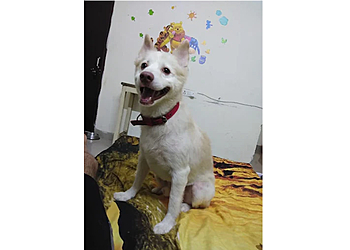 Petaholics tavern Petaholics tavern