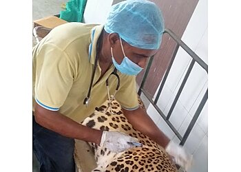 Pet's Health Care Center