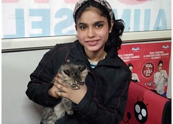 Pet's Health Care Center