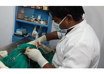 3 Best Veterinary Hospitals in Patna - Expert Recommendations