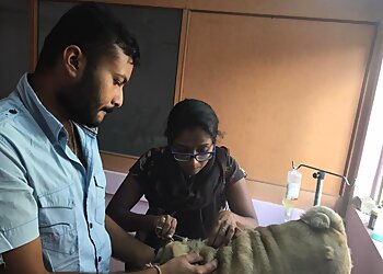 Pets Station Store & City Veterinary Clinic